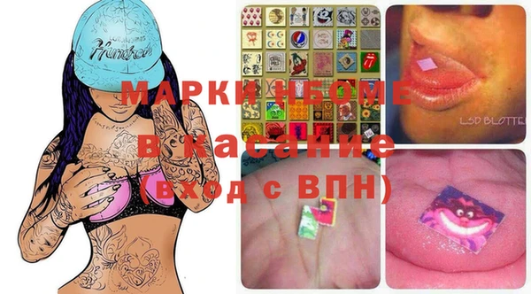 хмурый Магас