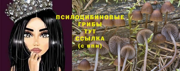синтетический гашиш Мегион