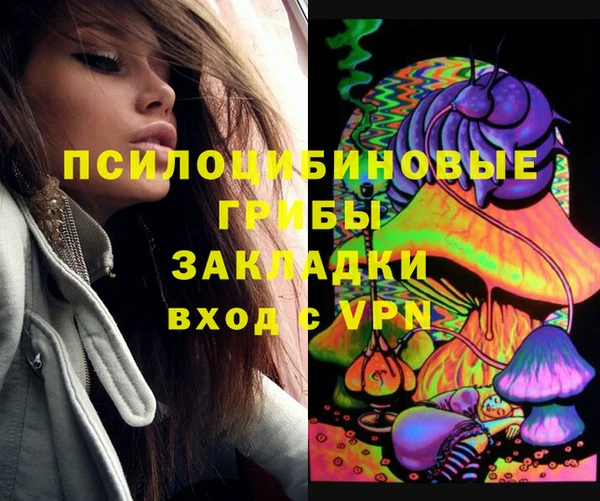гидра Медногорск