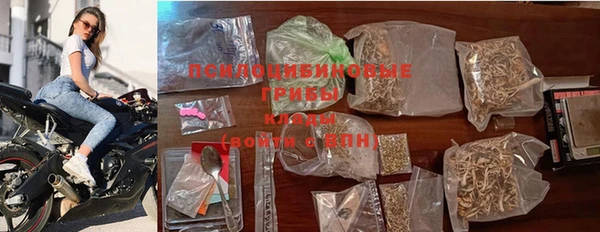 шишки Магадан