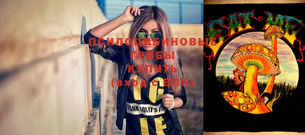 хмурый Магас