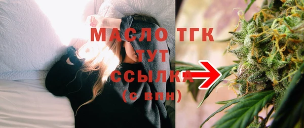 гидра Медногорск