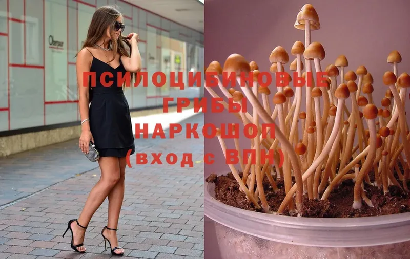 Псилоцибиновые грибы Magic Shrooms  Анадырь 