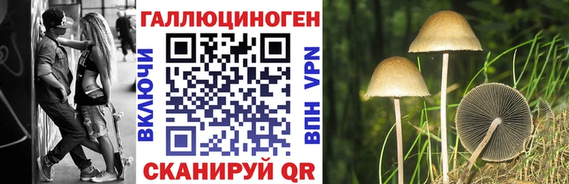 Галлюциногенные грибы мицелий  дарнет шоп  Анадырь 